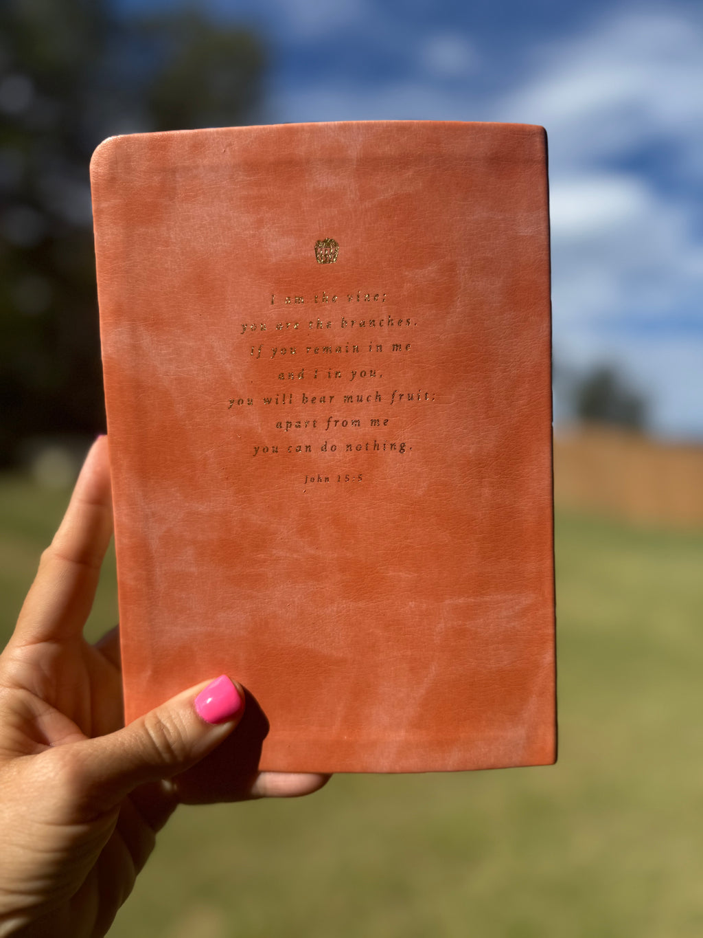 John 15:5 Lined Notebook: Journaling, Bible Study and Notetaking Companion, Peach