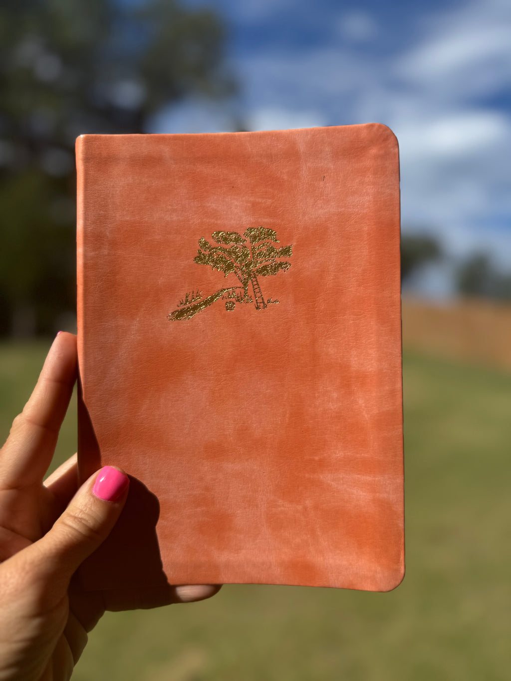 John 15:5 Lined Notebook: Journaling, Bible Study and Notetaking Companion, Peach