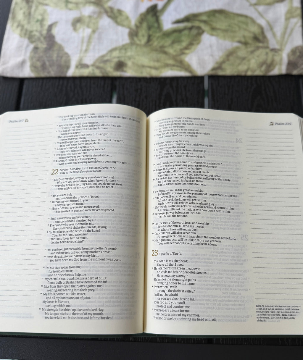 NLT Notetaking Bible : Journaling Bible, Green with Gold Foil