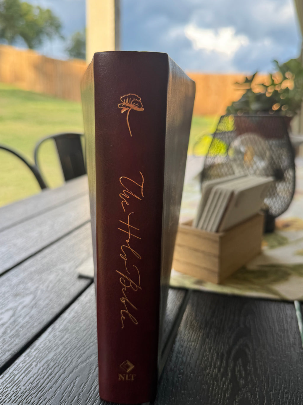 NLT Compact Bible: Brown with Gold Foil, Pocket Bible