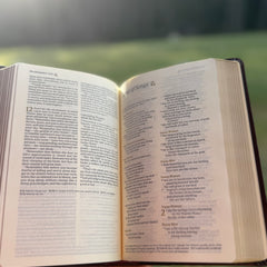 NLT Compact Bible: Brown with Gold Foil, Pocket Bible