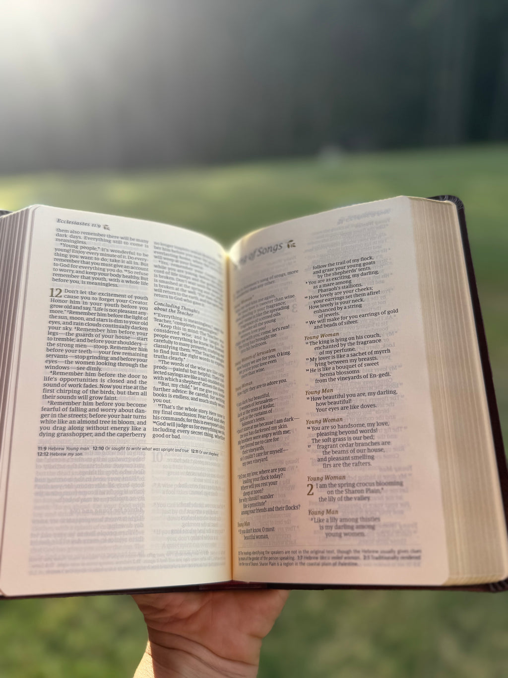 NLT Compact Bible: Brown with Gold Foil, Pocket Bible