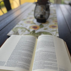 CSB Note-taking Bible: John 8:10, Brown Leather-like Cover