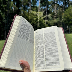NLT Compact Bible – Helena Mauve | Jeremiah 1:5