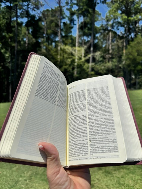 NLT Compact Bible – Helena Mauve | Jeremiah 1:5