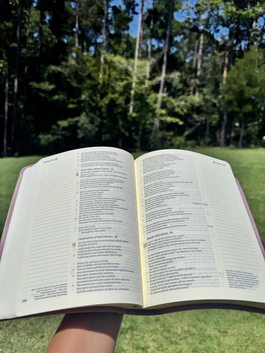 Mauves Floral CSB Notetaking Bible | John 15:5