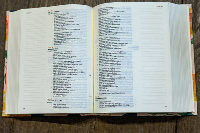 CSB Note-taking Bible: Sunflower Bible